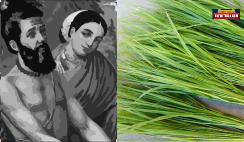 कुशोत्पाटनमंत्र (तिथि निर्णय सहित)